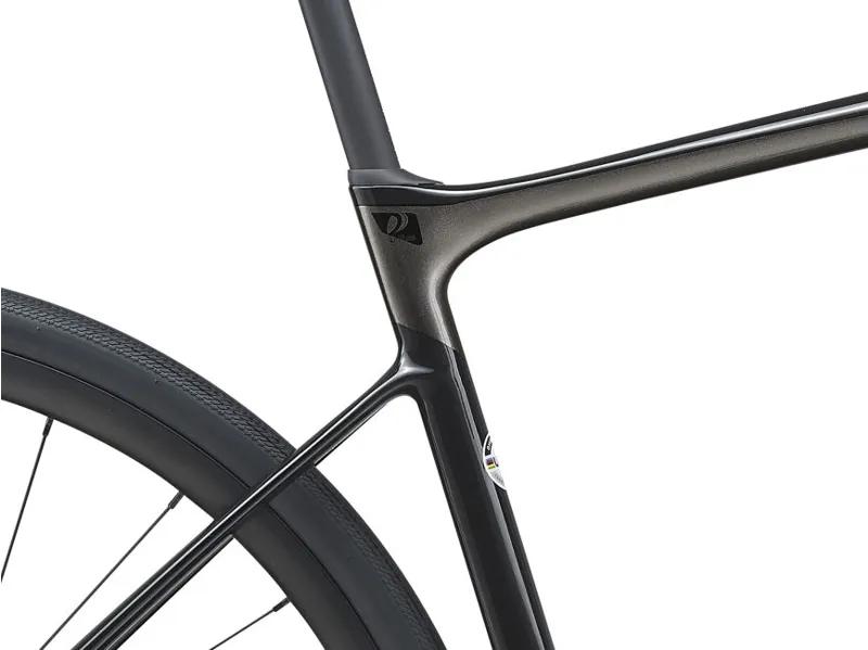 2021 Giant Defy Advanced 2 Road Bike in Black-6