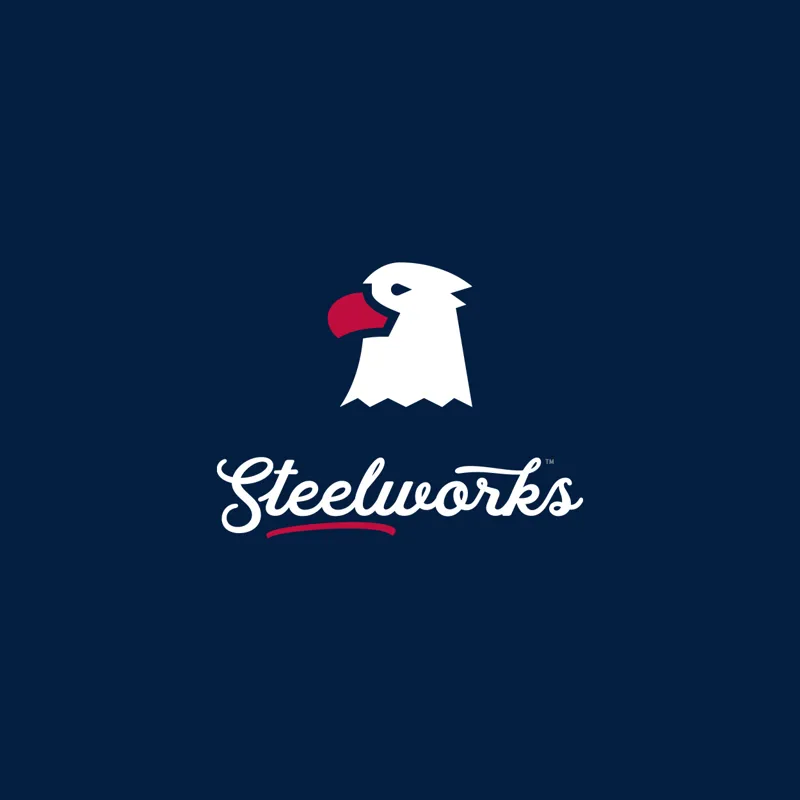 Steelworks USA Mens Tee in Navy Blue-9