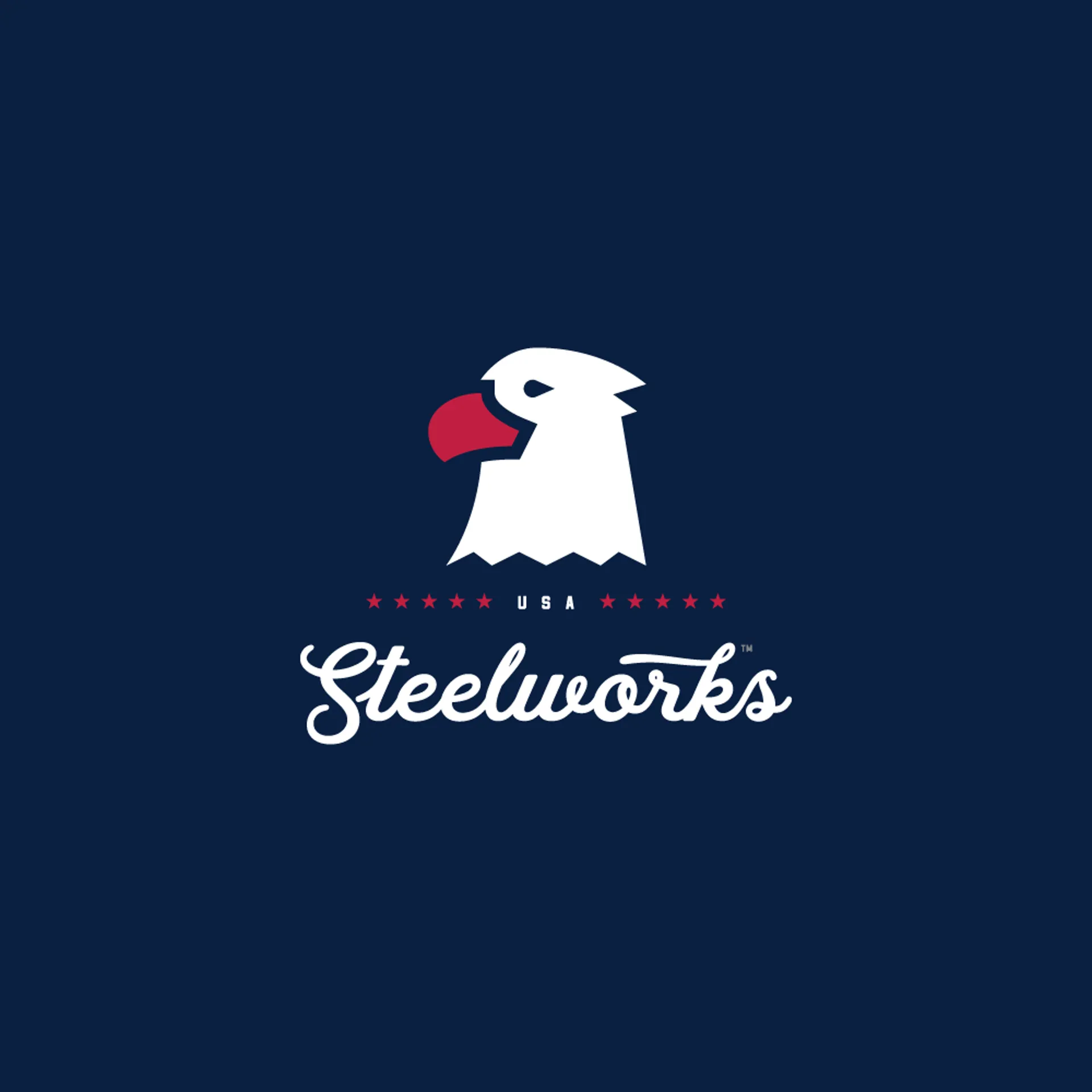 Steelworks USA Merch