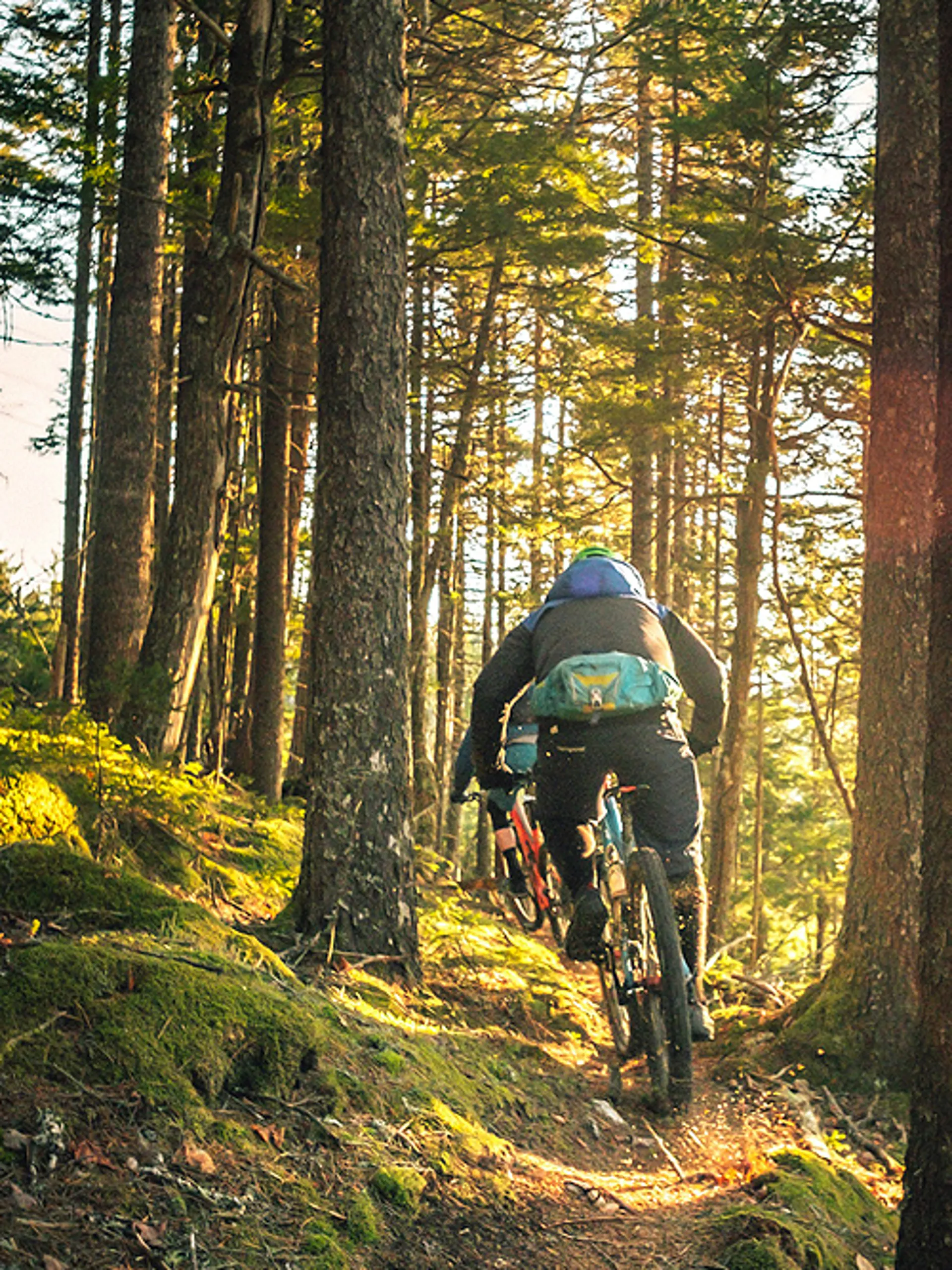 Hardtail mountain bikes