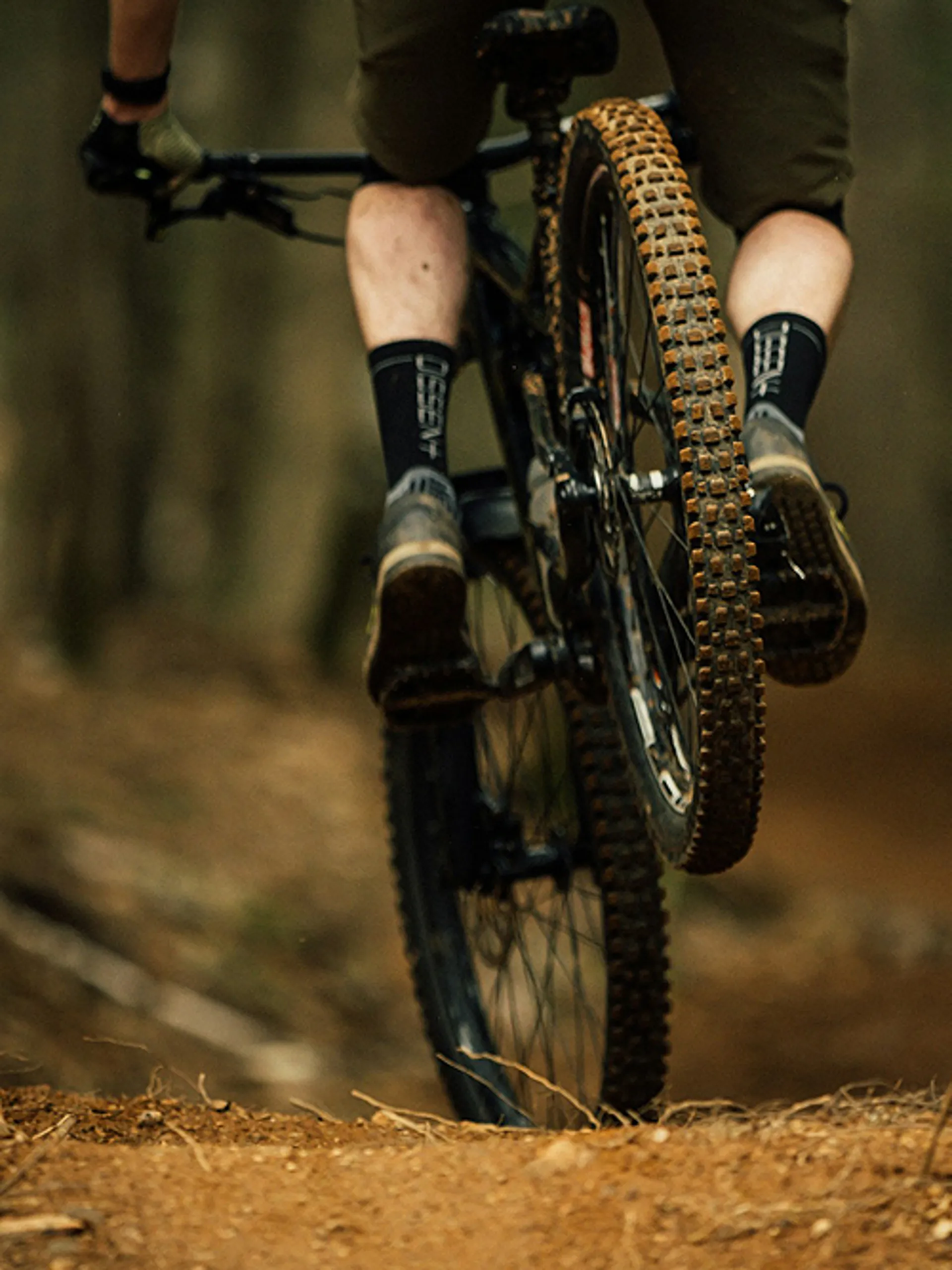 Bicycle Brakes